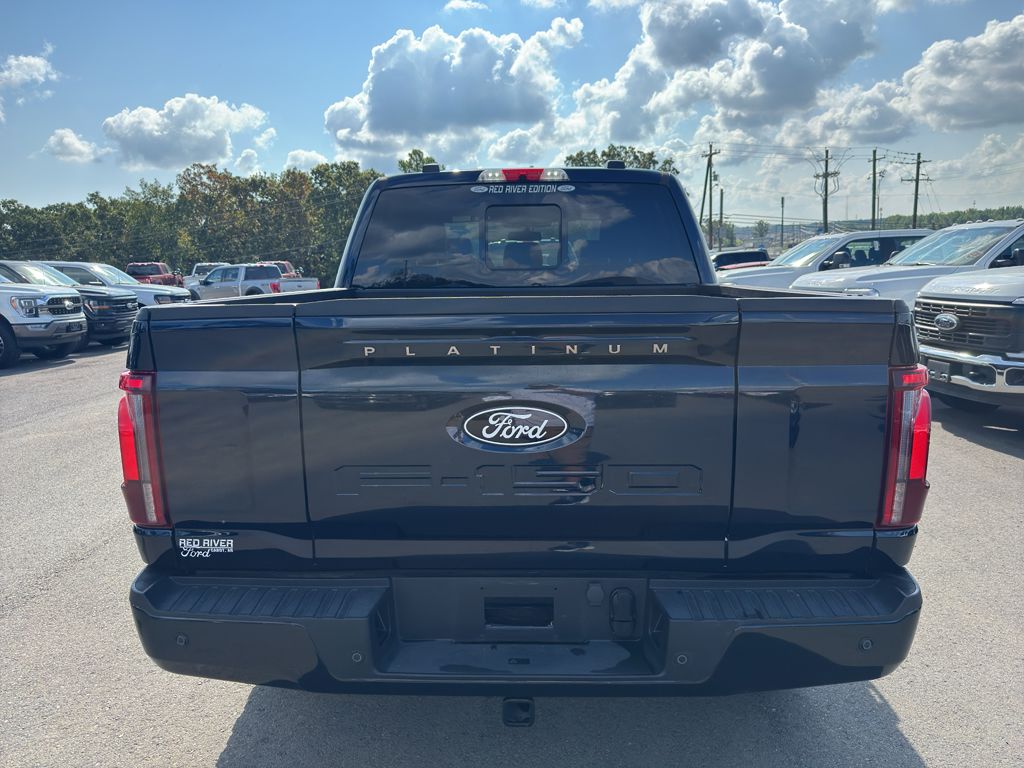2025 Ford F-150 Platinum photo 6