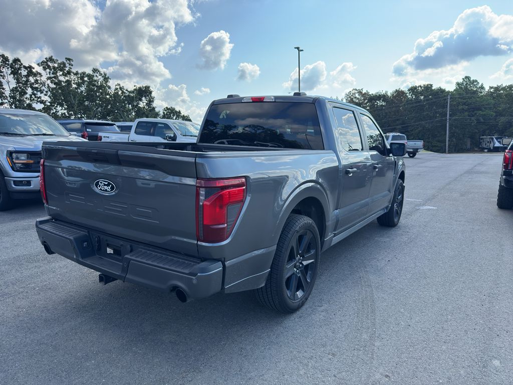 2025 Ford F-150 STX photo 5