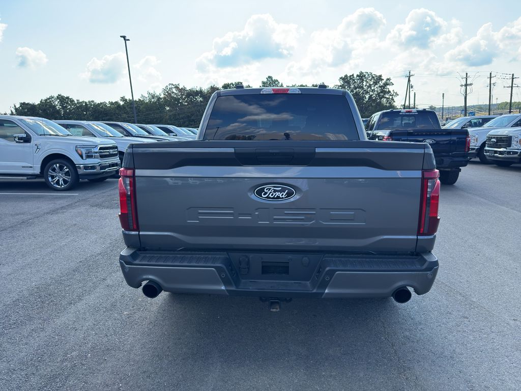 2025 Ford F-150 STX photo 6