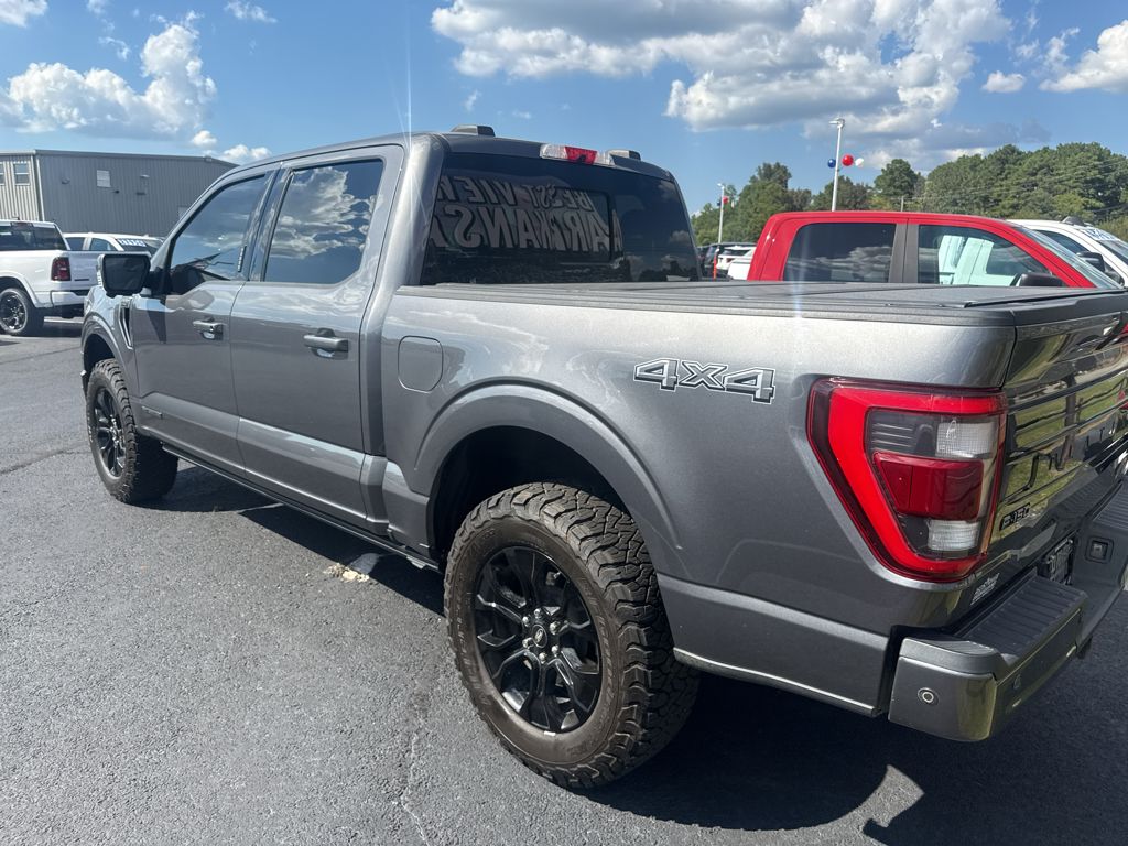 2022 Ford F-150 Platinum photo 6