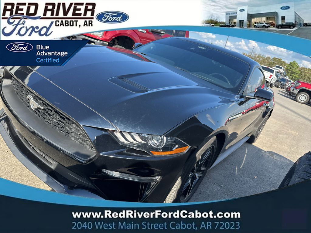2023 Ford Mustang EcoBoost photo 1