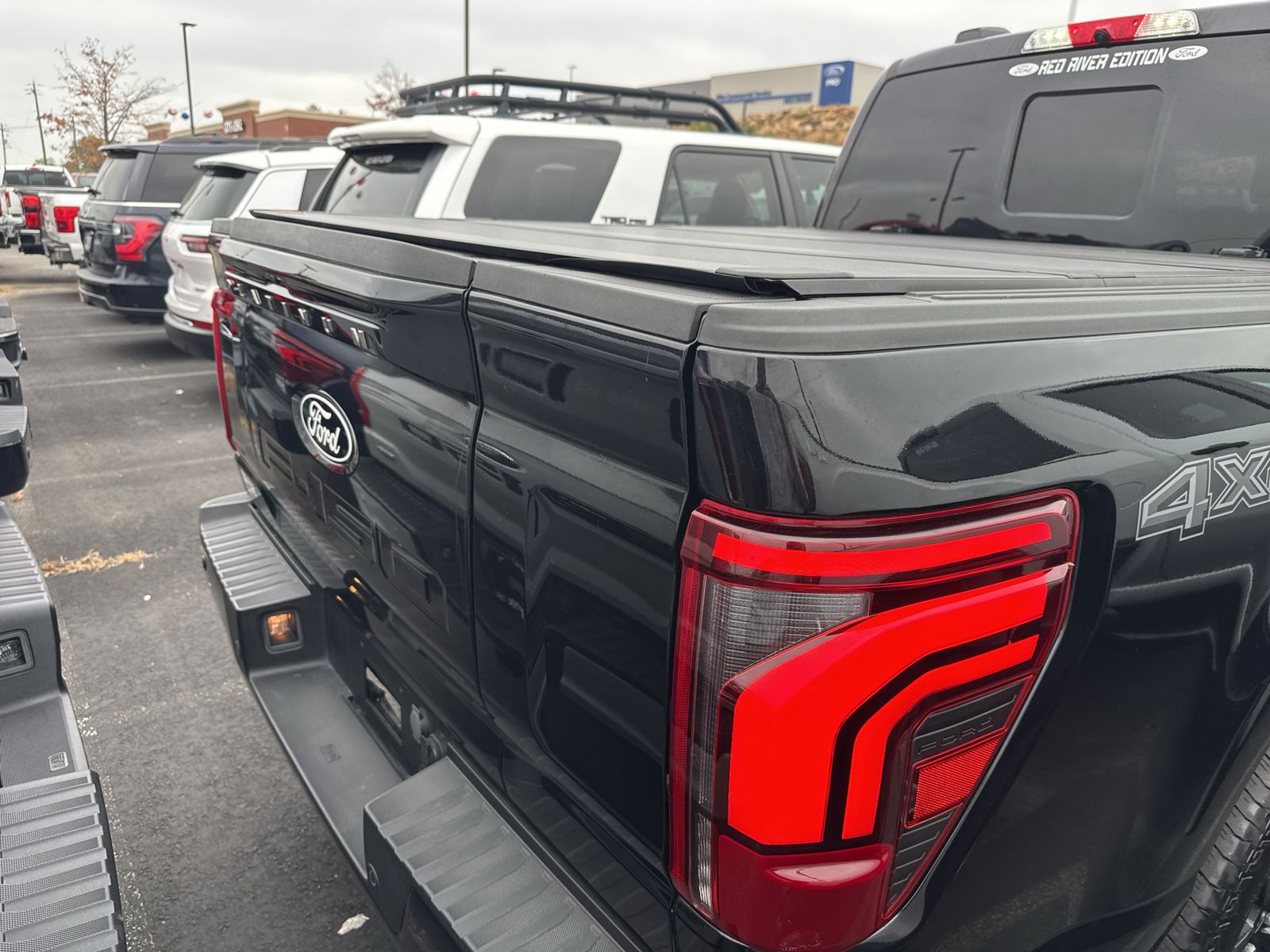2025 Ford F-150 Platinum photo 5