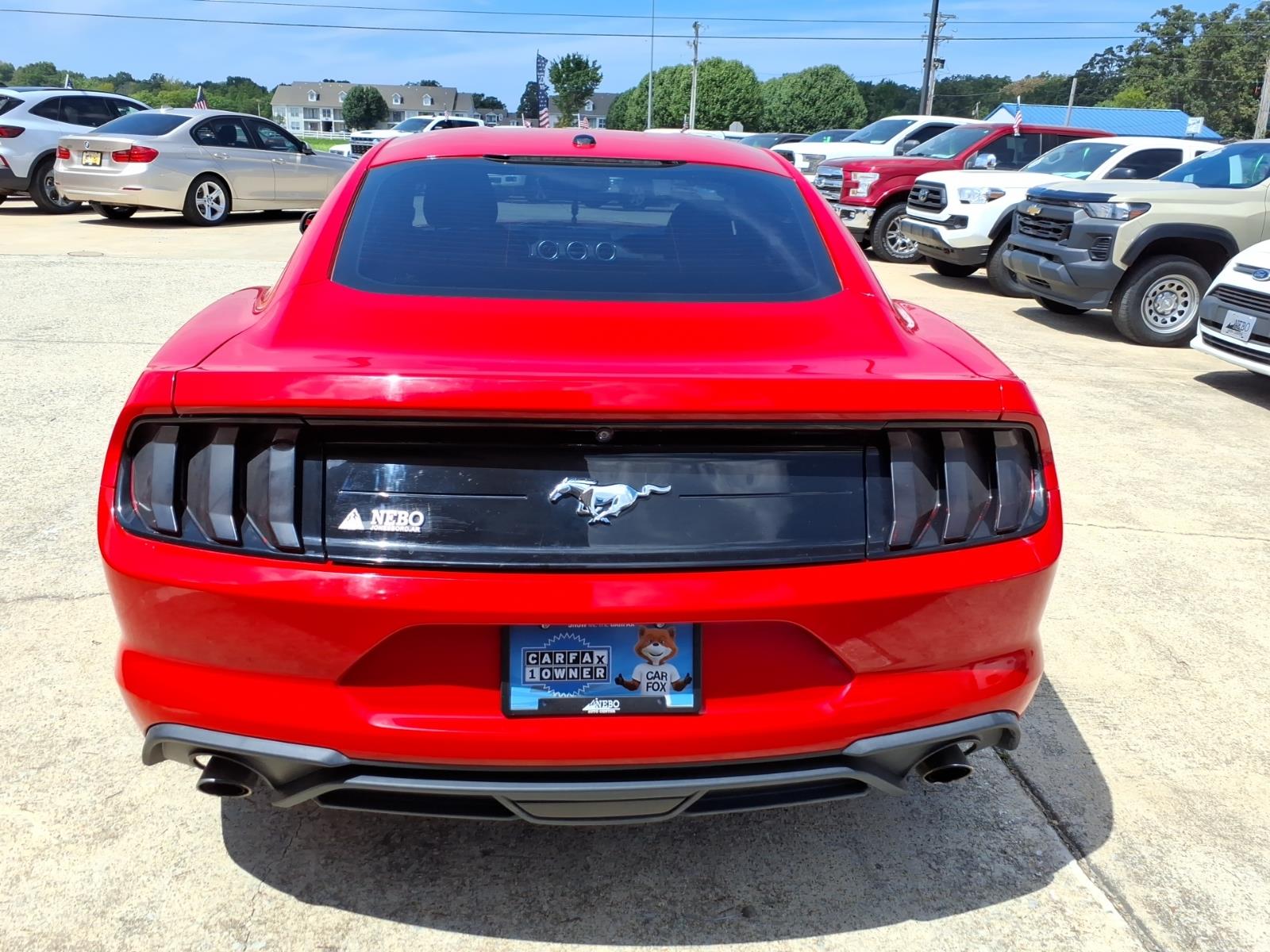 2019 Ford Mustang EcoBoost photo 4