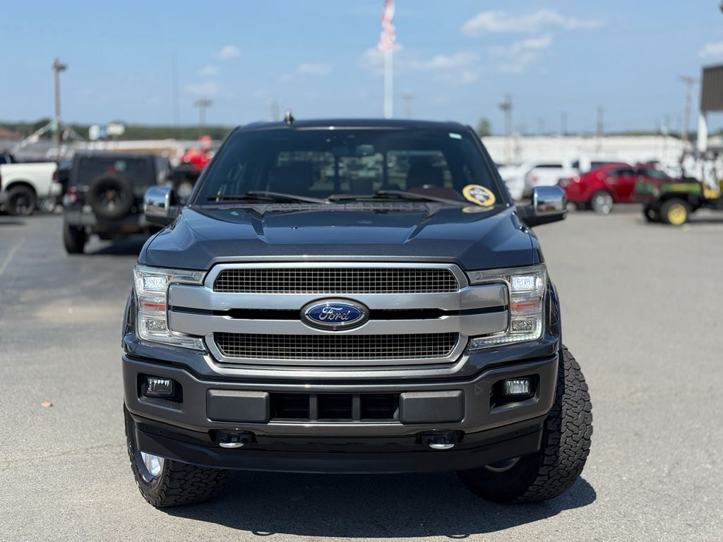 2019 Ford F-150 Platinum photo 2
