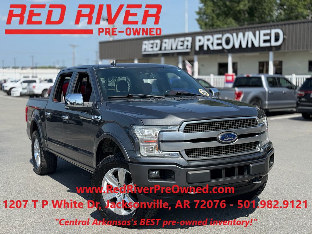 2019 Ford F-150 Platinum photo 1