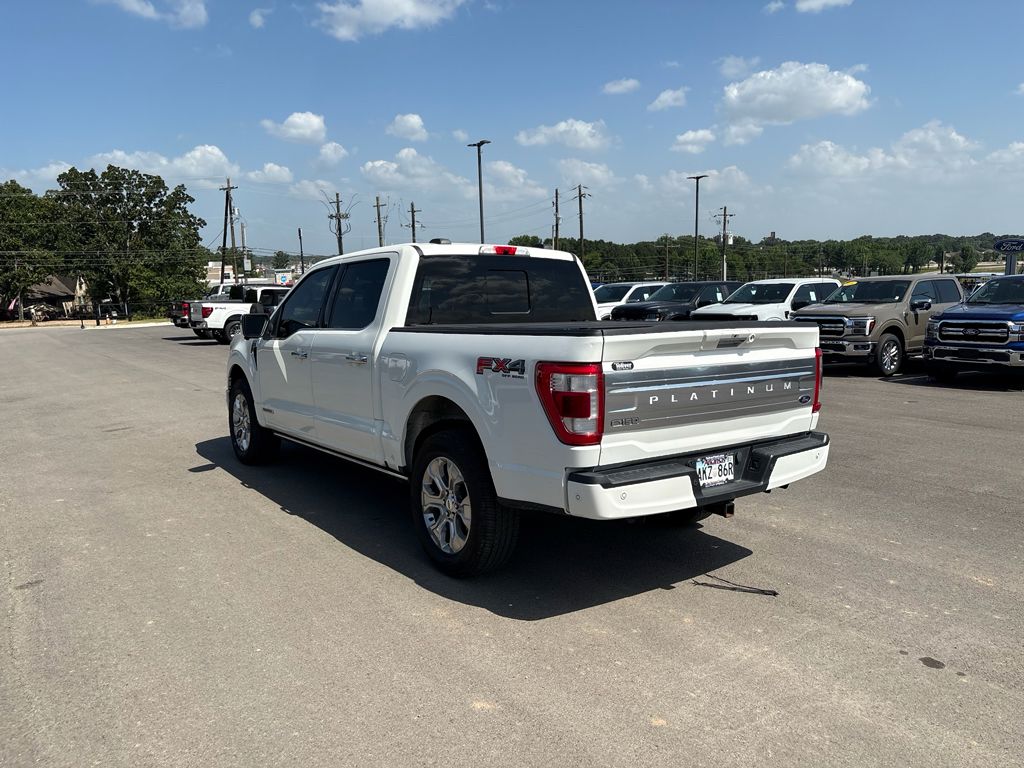 2022 Ford F-150 Platinum photo 2