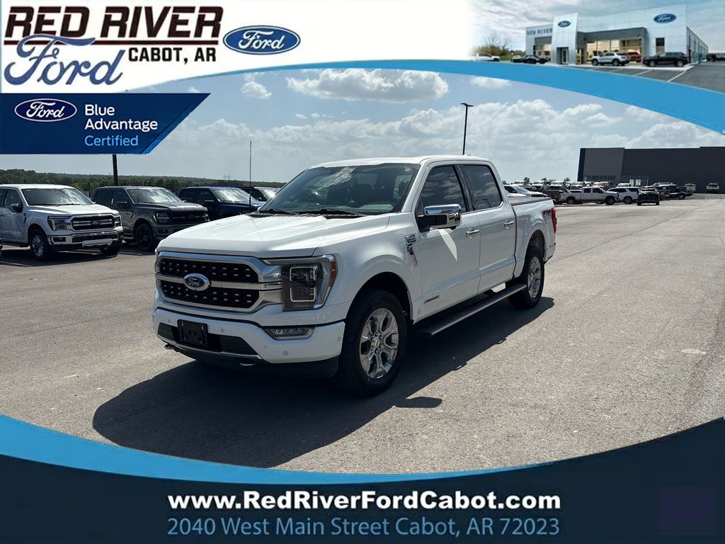 2022 Ford F-150 Platinum photo 1
