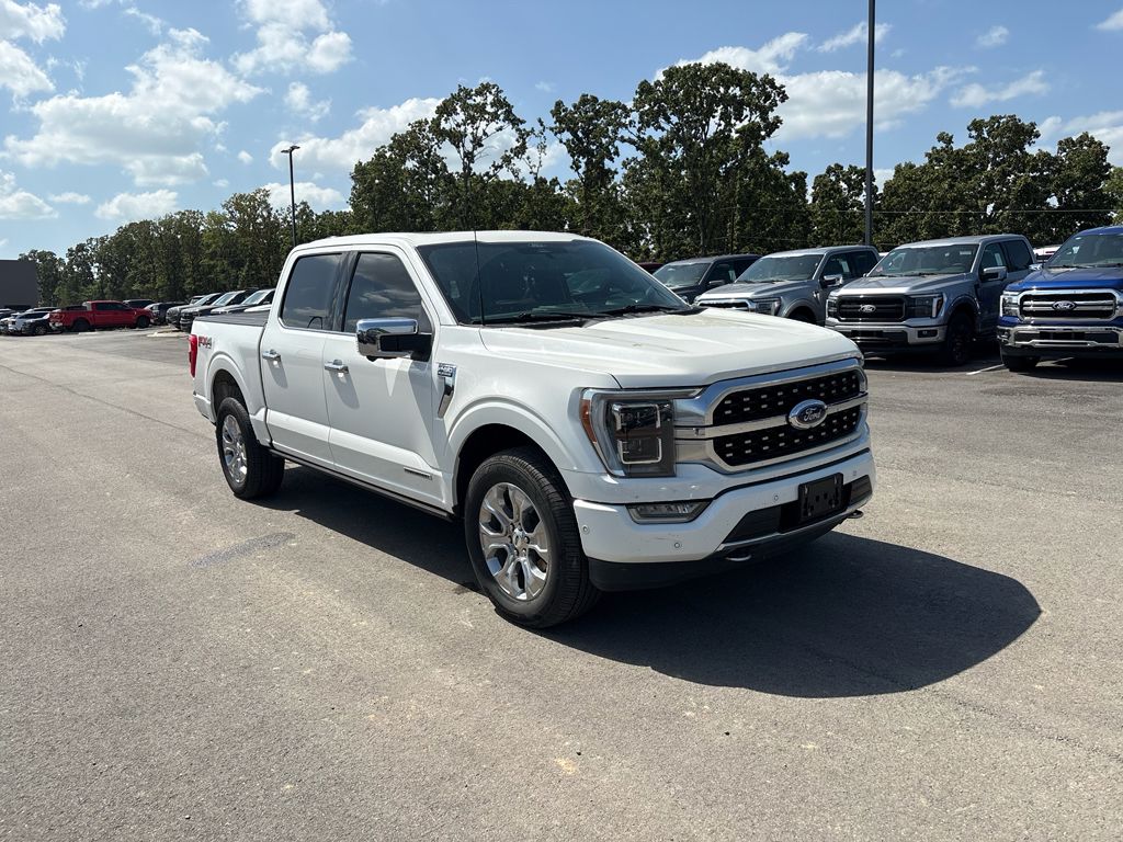 2022 Ford F-150 Platinum photo 4