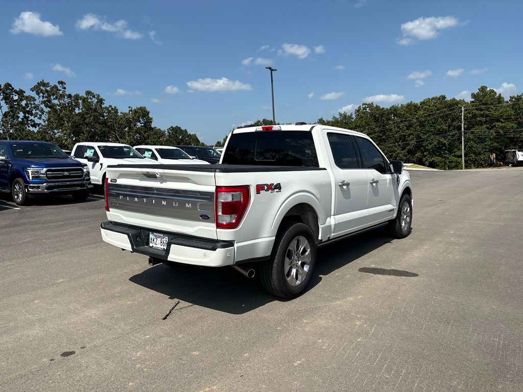 2022 Ford F-150 Platinum photo 3