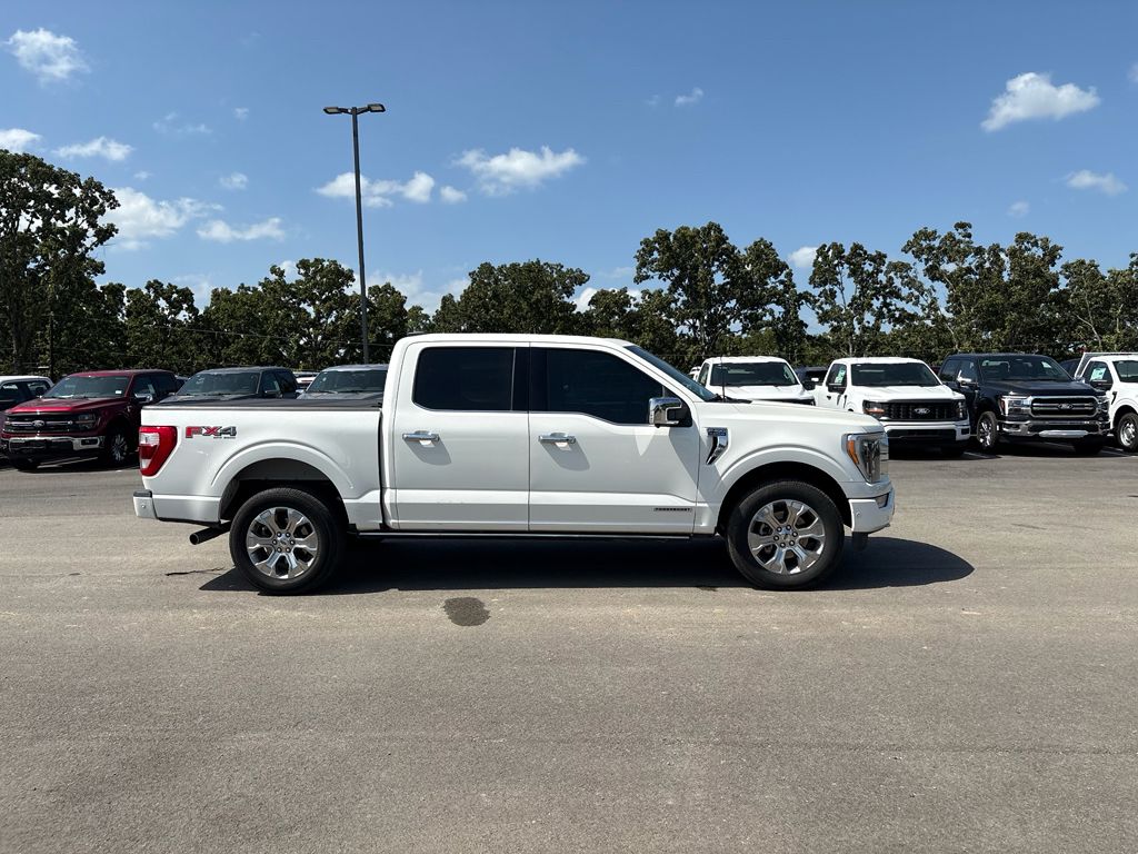 2022 Ford F-150 Platinum photo 5