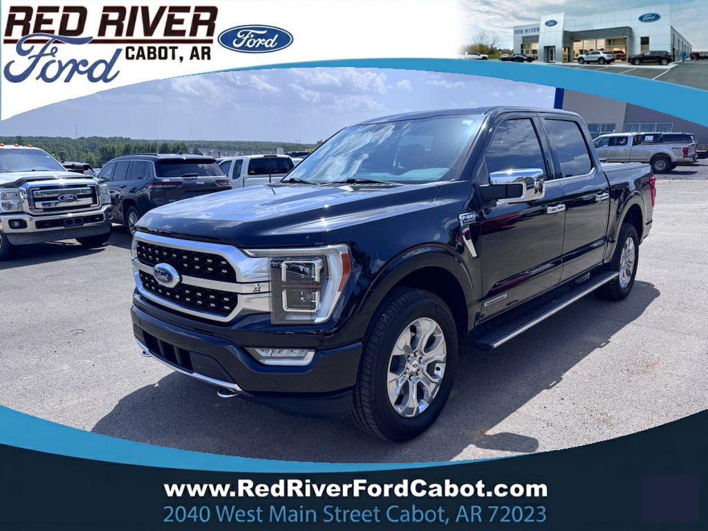2022 Ford F-150 Platinum photo 1