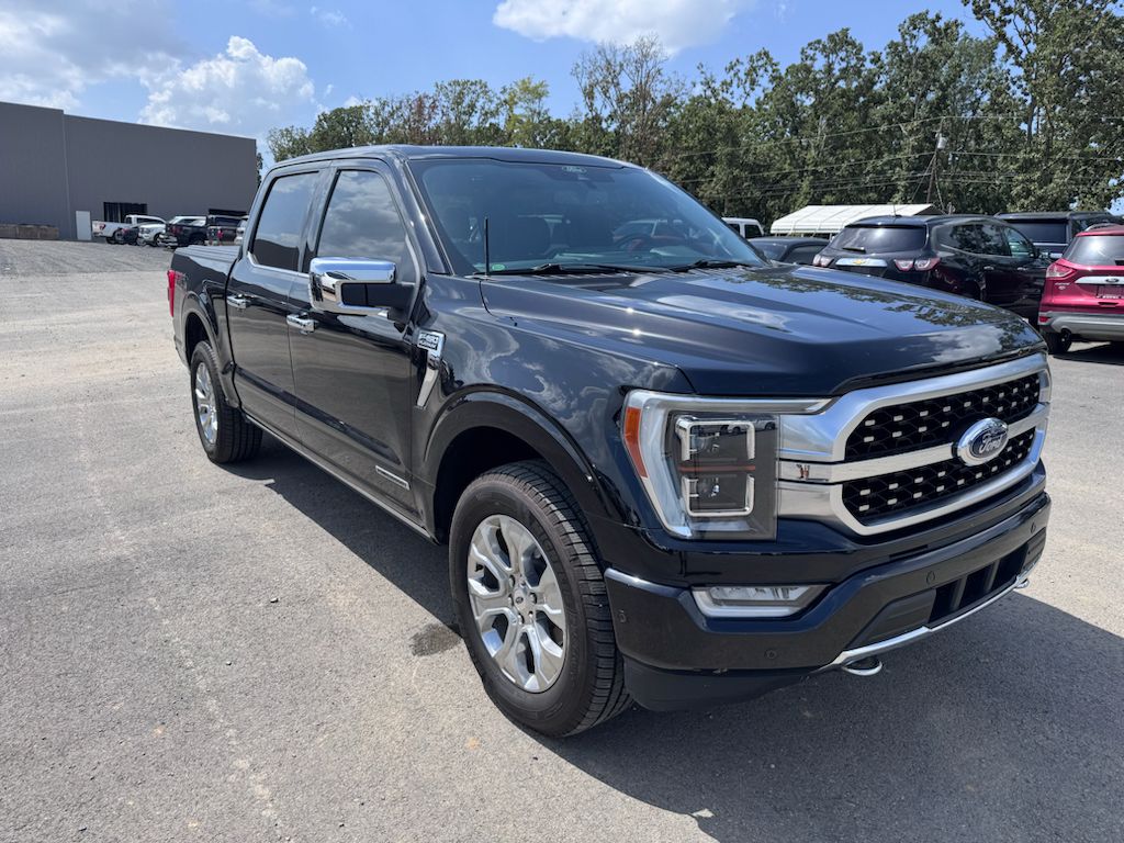 2022 Ford F-150 Platinum photo 3