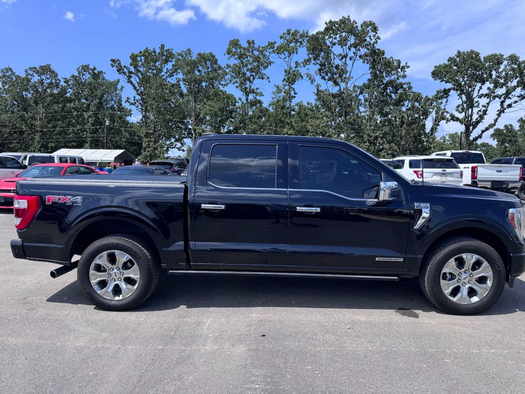 2022 Ford F-150 Platinum photo 4