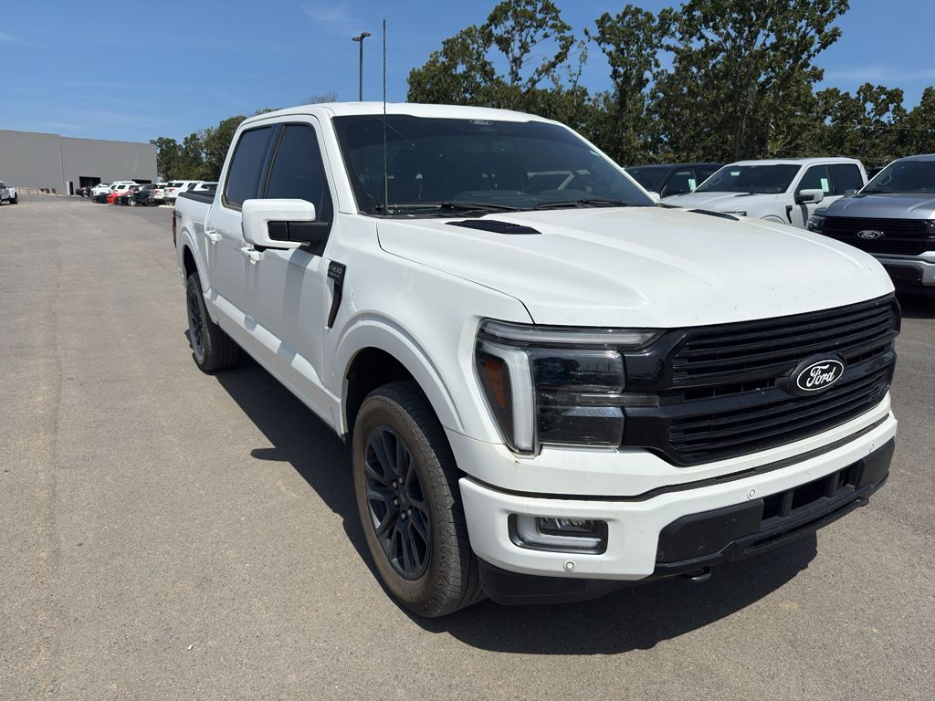 2025 Ford F-150 Platinum photo 3