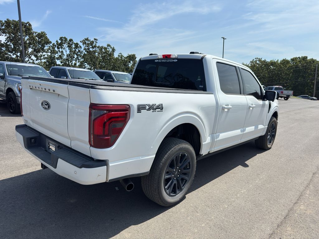 2025 Ford F-150 Platinum photo 5